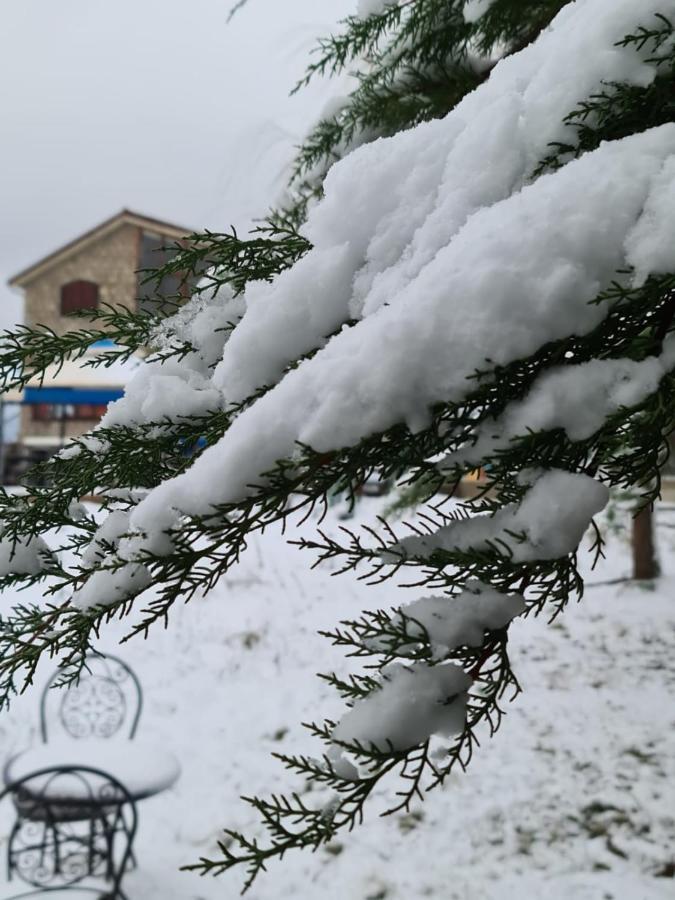 La Pommeraie D'Ifrane Exterior photo