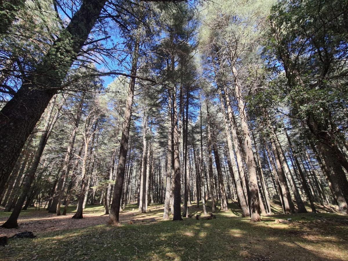 La Pommeraie D'Ifrane Exterior photo